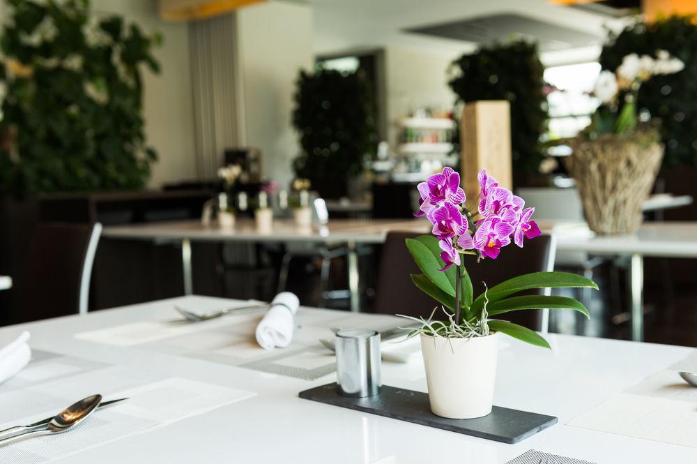 Hotel Apart - Welcoming L Urban Feel L Design Risch-Rotkreuz Εξωτερικό φωτογραφία